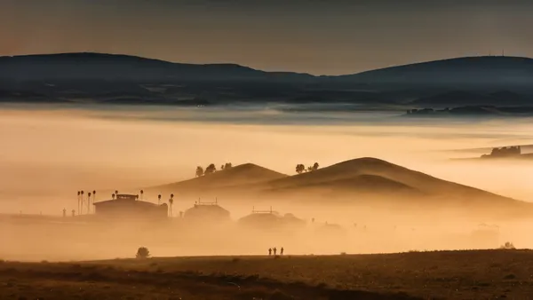 Morning mist on the grassland thumbnail