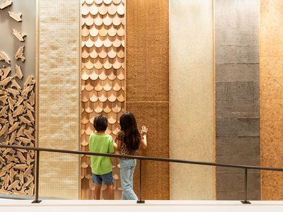 Wall panels allow children to explore different patterns and varieties of wood.