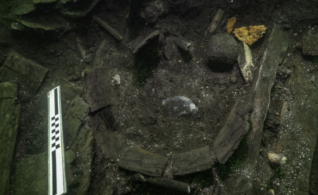 Shipwreck sturgeon