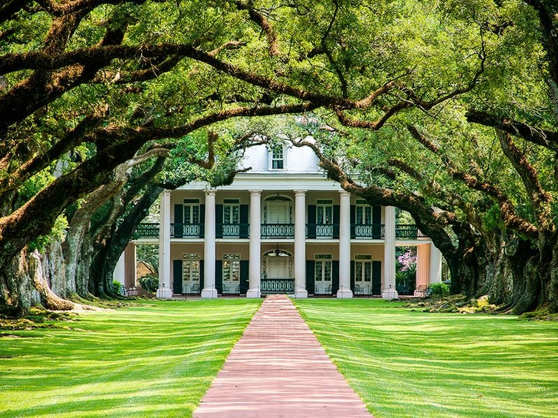 oak-alley-plantation-floor-plan-home-building-plans-67913