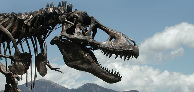 Tyrannosaurus rex