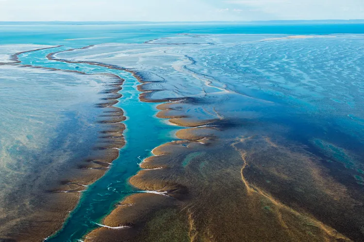 Known as Yowjab to Indigenous Australians, the inshore reef covers about 100,000 acres.