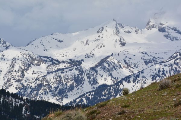 A touch of spring in the Tetons thumbnail