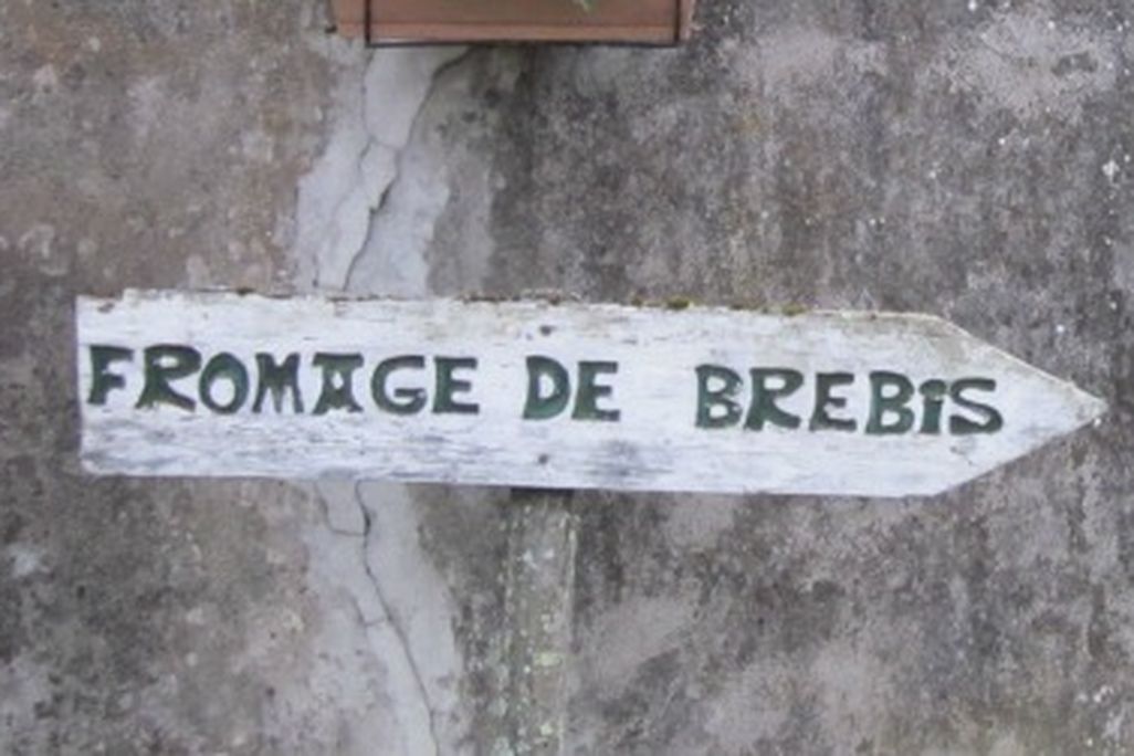 Follow the arrows, find the cheese. This sign led to a sheep farm in the village of Tilhouse.