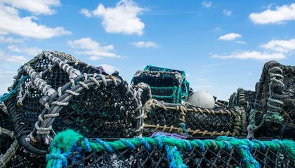 The Pioneering Project Paying for Ghost Fishing Gear