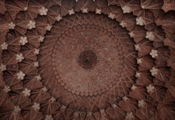 Maryam Naseri thumbnail