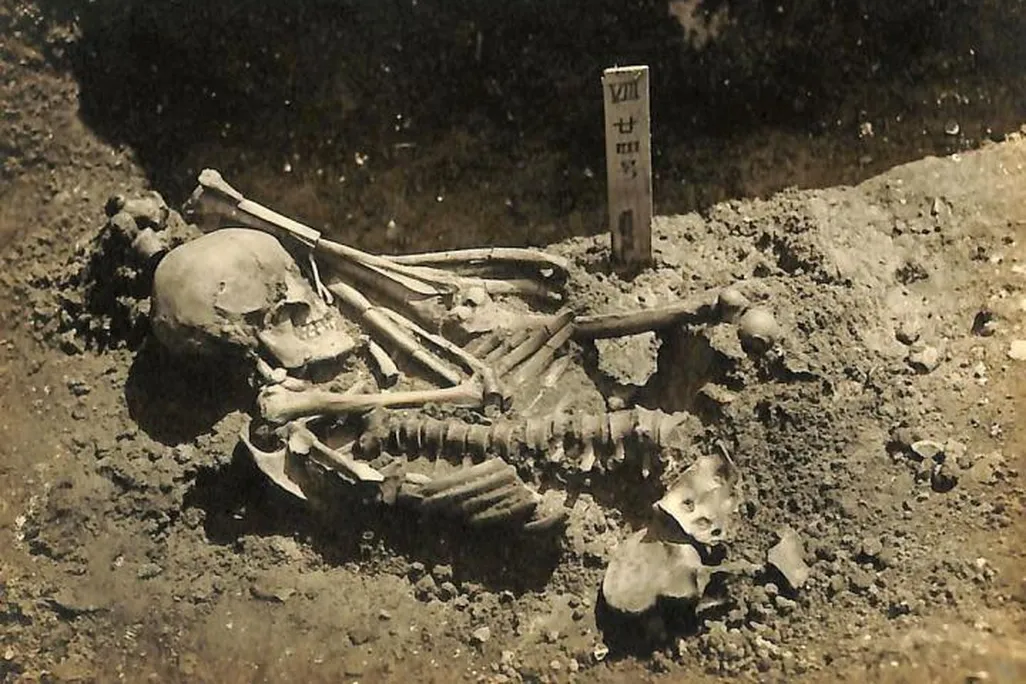 Ancient Attack Victims