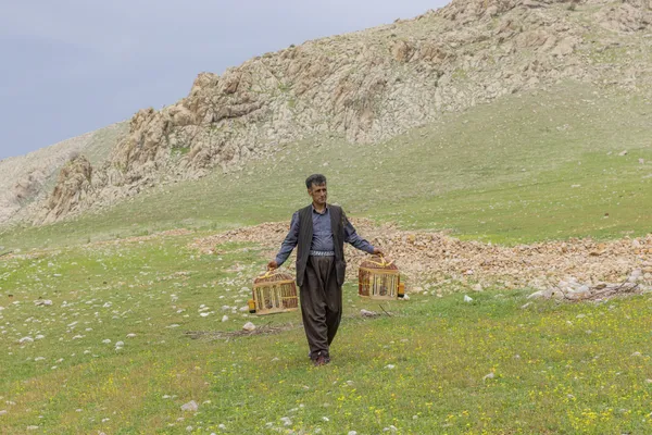 Untitled (29) thumbnail