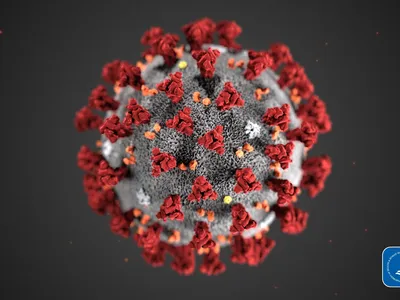 An illustration of the new coronavirus. Coronaviruses are named for the spikes on their outer surface, which look like points on a crown. (CDC)