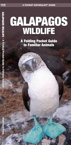 Galapagos Wildlife: A Folding Pocket Guide to Familiar Animals (Nature Observation International)