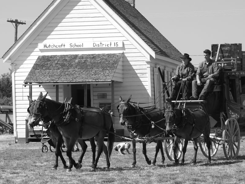 horse and buggy days Smithsonian Photo Contest Smithsonian Magazine