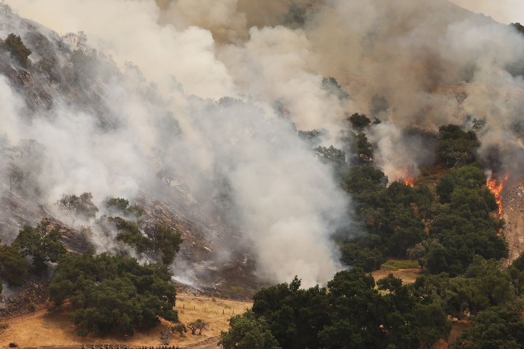 Wildfire smoke billows above trees