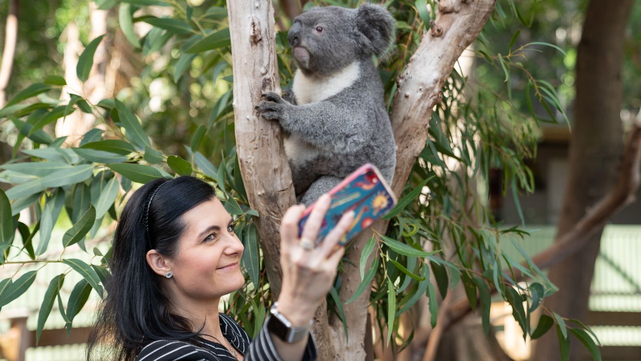 Meet the Smithsonian Scientist Unlocking Crucial Conservation