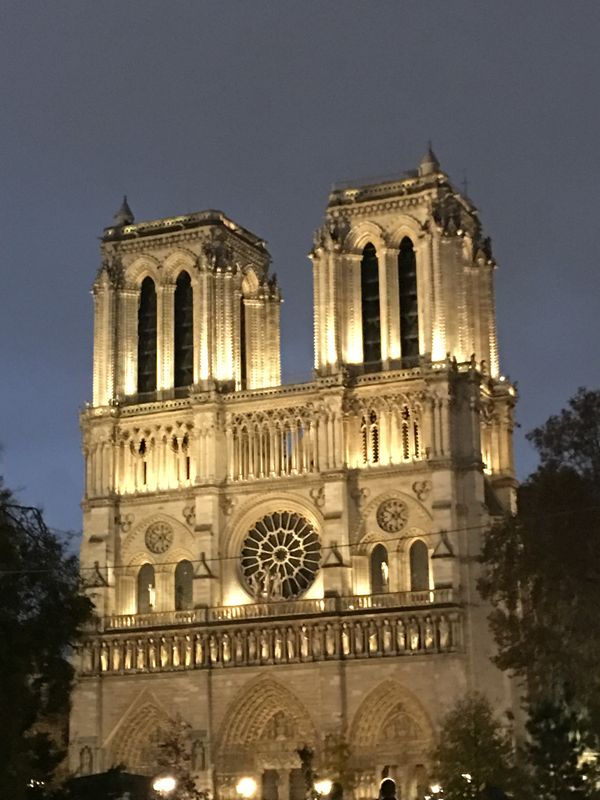 Notre Dame lighting Paris by Night thumbnail