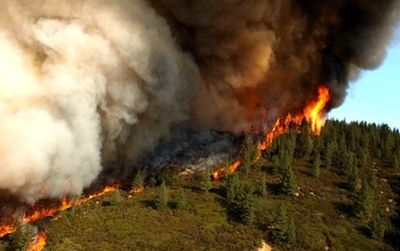 Computer models indicate that wildfires will become more frequent in temperate regions as the climate changes over the coming decades
