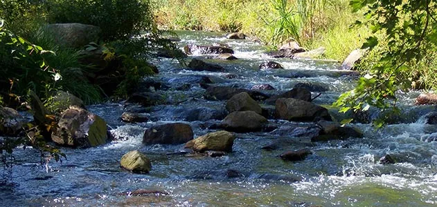Town Brook water supply