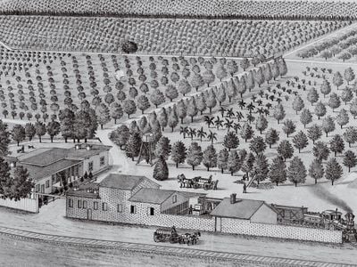 Orange and lemon groves as well as the residence of the citrus pioneer William Wolfskill, c. 1882.&nbsp;