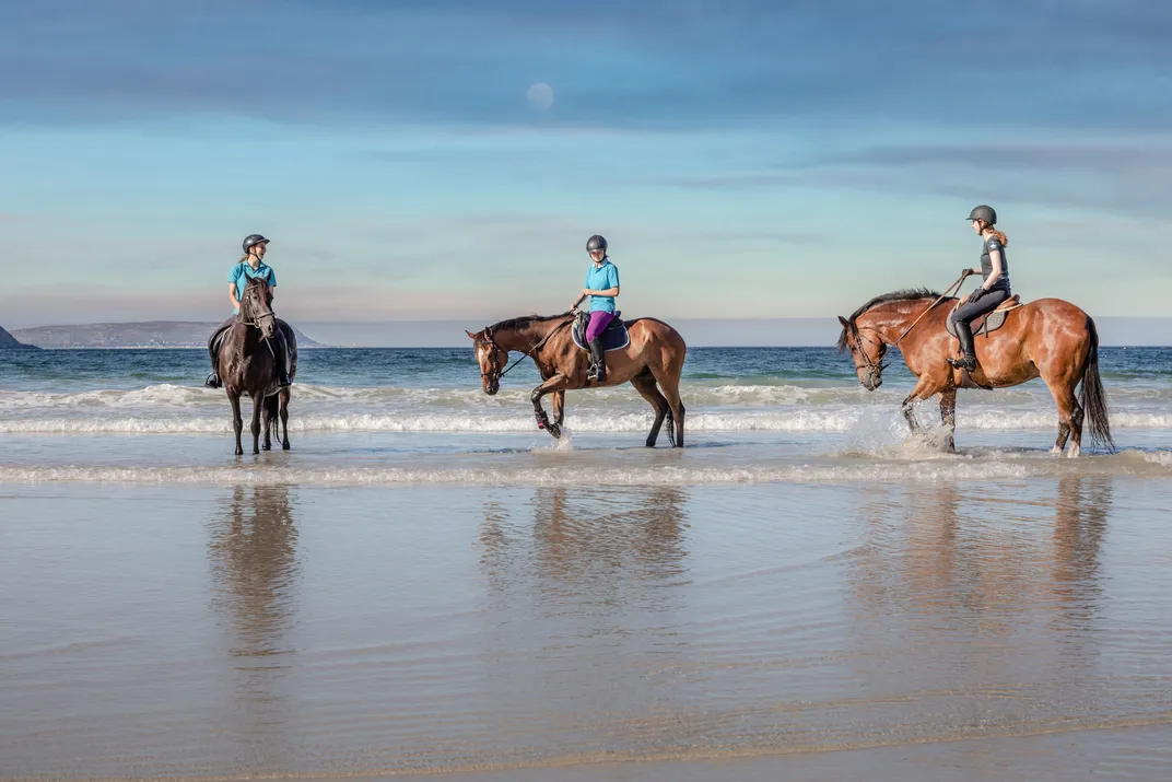 Horseback riding on the beach