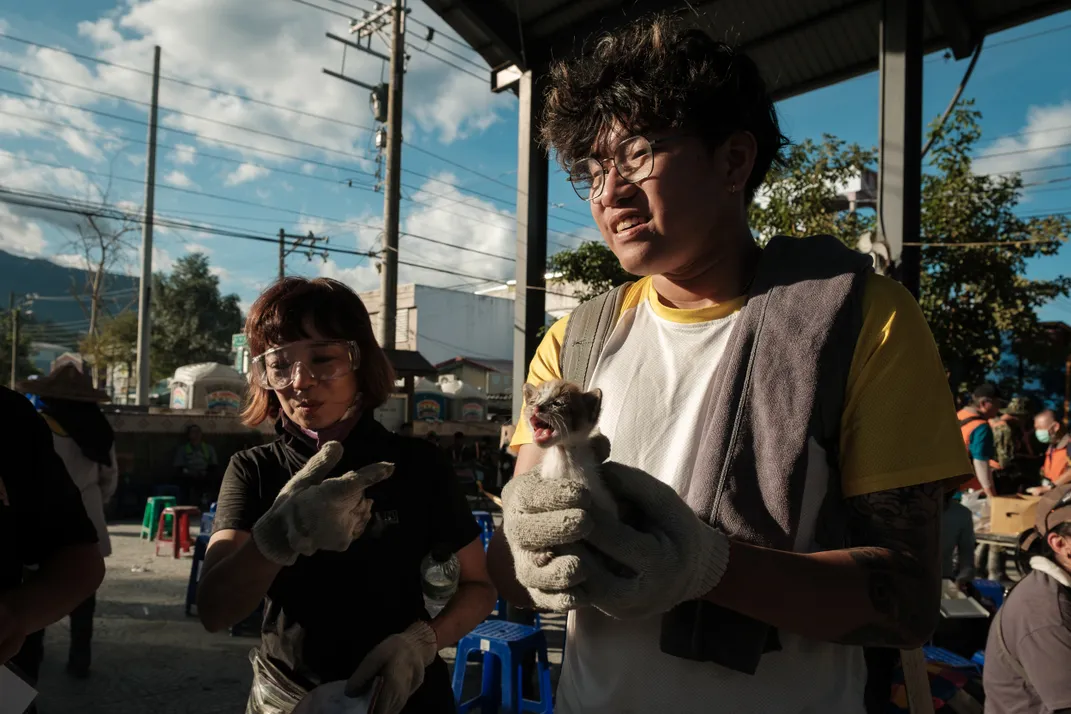 a volunteer holds a kitten that was found in the rubble
