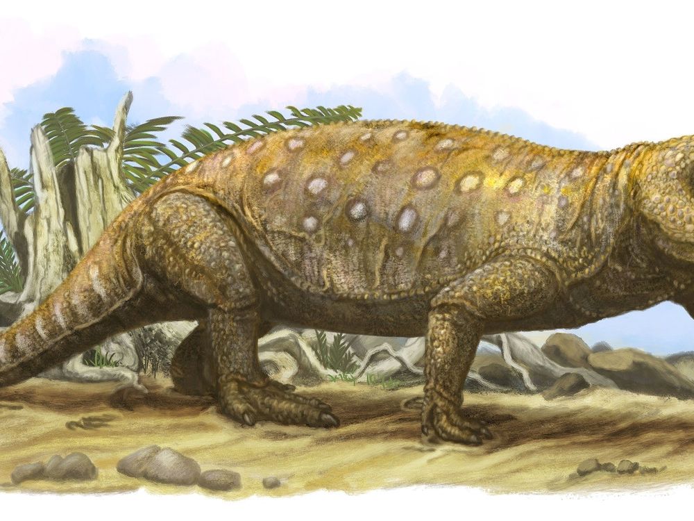 These 'Grinning' Triassic Reptiles Likely Died of Starvation