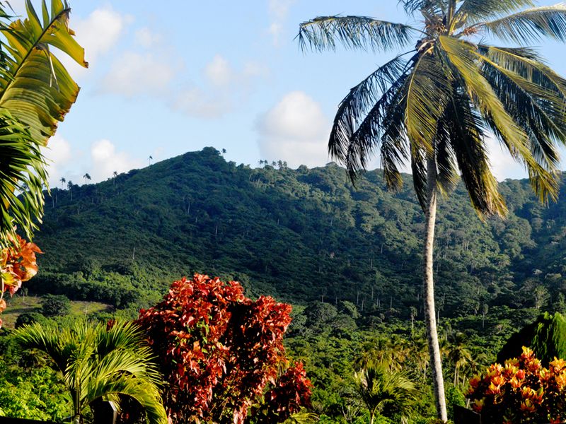 In the mountains of Dominican Republic | Smithsonian Photo Contest ...