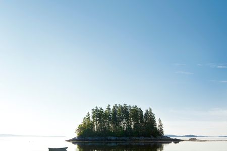 Cards Against Humanity now owns a private island in Maine.