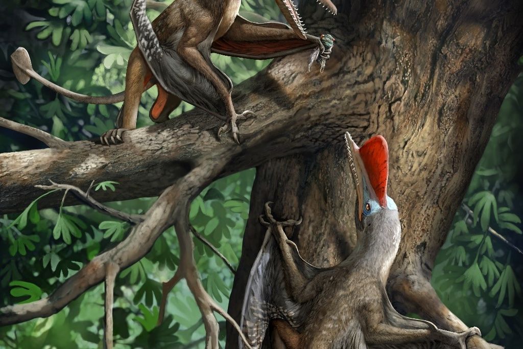 Kunpengopterus antipollicatus