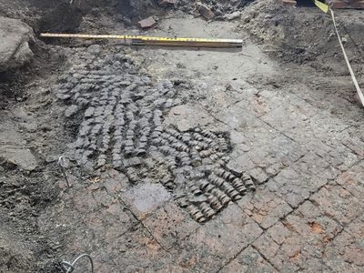 The bone and tile floor was found in a building in Alkmaar&#39;s historic center.