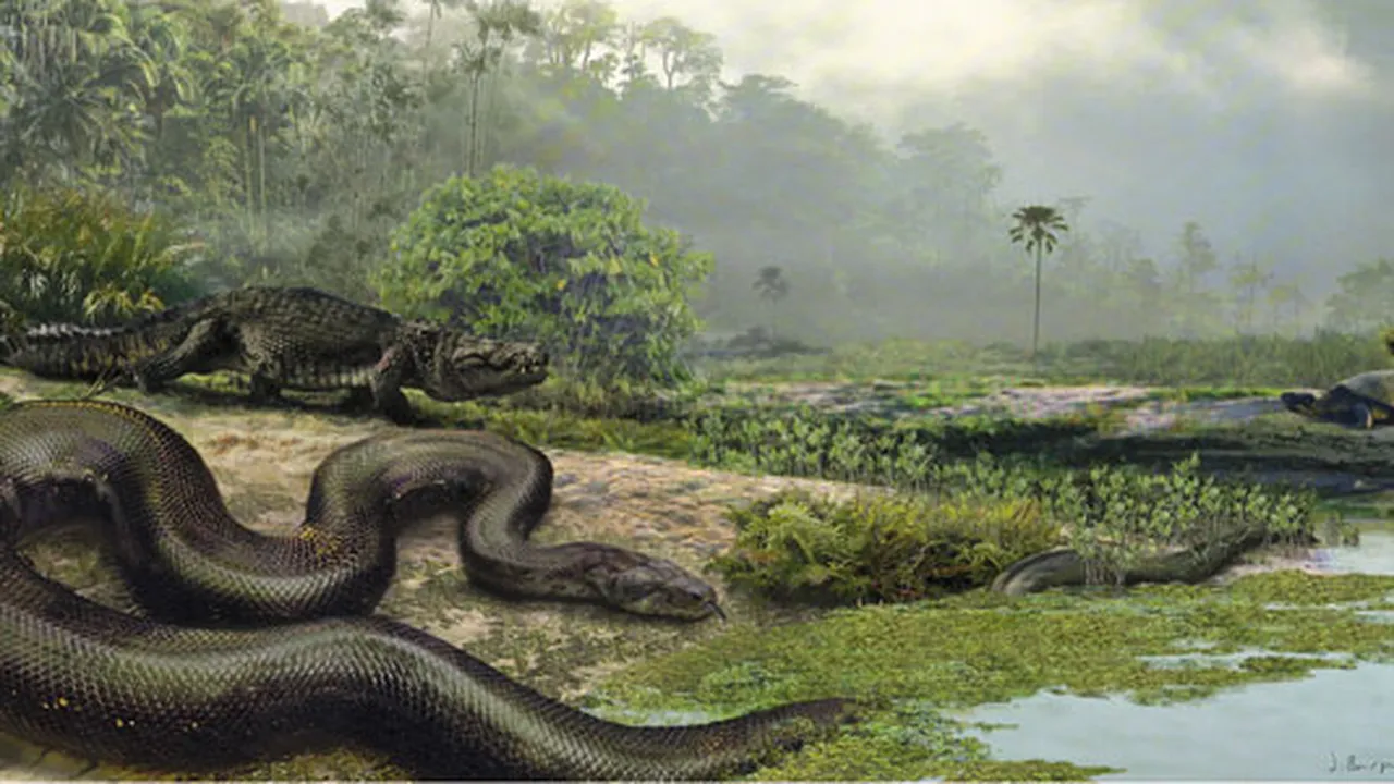 How Titanoboa, the 40-Foot-Long Snake, Was Found