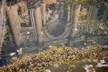 Coins thrown by tourists into the Trevi Fountain
