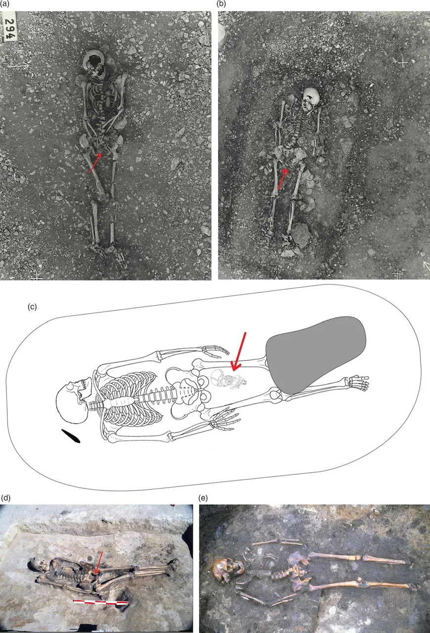 photos_and_plans_of_potential_motherfetus_burials_ab_grave_294_and_228_kopparsvik_after_t.jpeg
