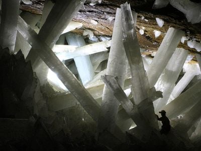 Enormous gypsum crystals in a Naica cavern