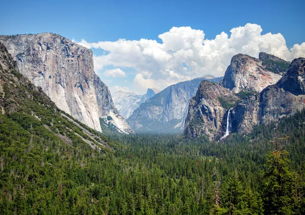 Yosemite Valley View thumbnail