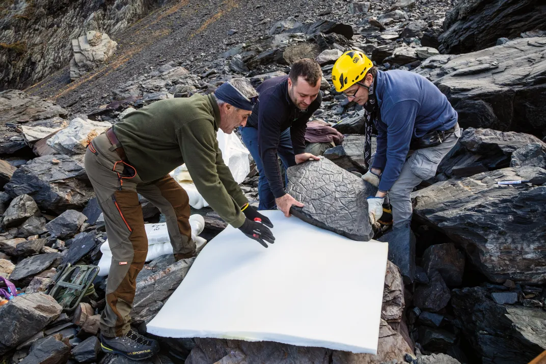 Researchers taking fossils in the mountains