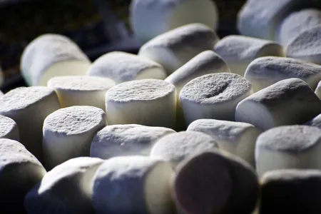 Those who hold out for the second marshmallow may come from more affluent households, and their future success is based on this economic advantage rather than sheer willpower