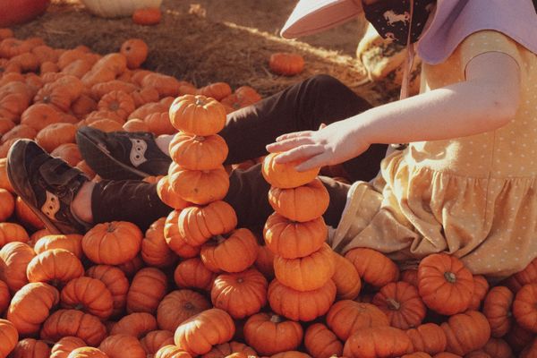 A kid stacking the pumpkin towers thumbnail
