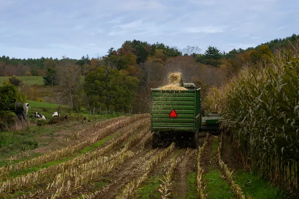 American farm thumbnail
