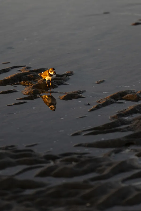 In the Mirror thumbnail