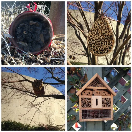 Simpler insect hotels in the Ripley Garden
