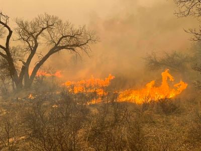 The Smokehouse Creek Fire has become the largest wildfire in Texas history.