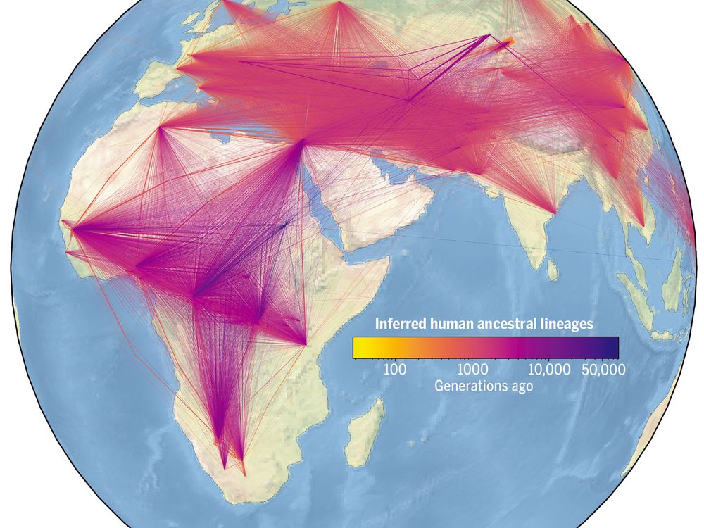 Largest Human Family Tree Identifies Nearly 27 Million Ancestors, Smart  News