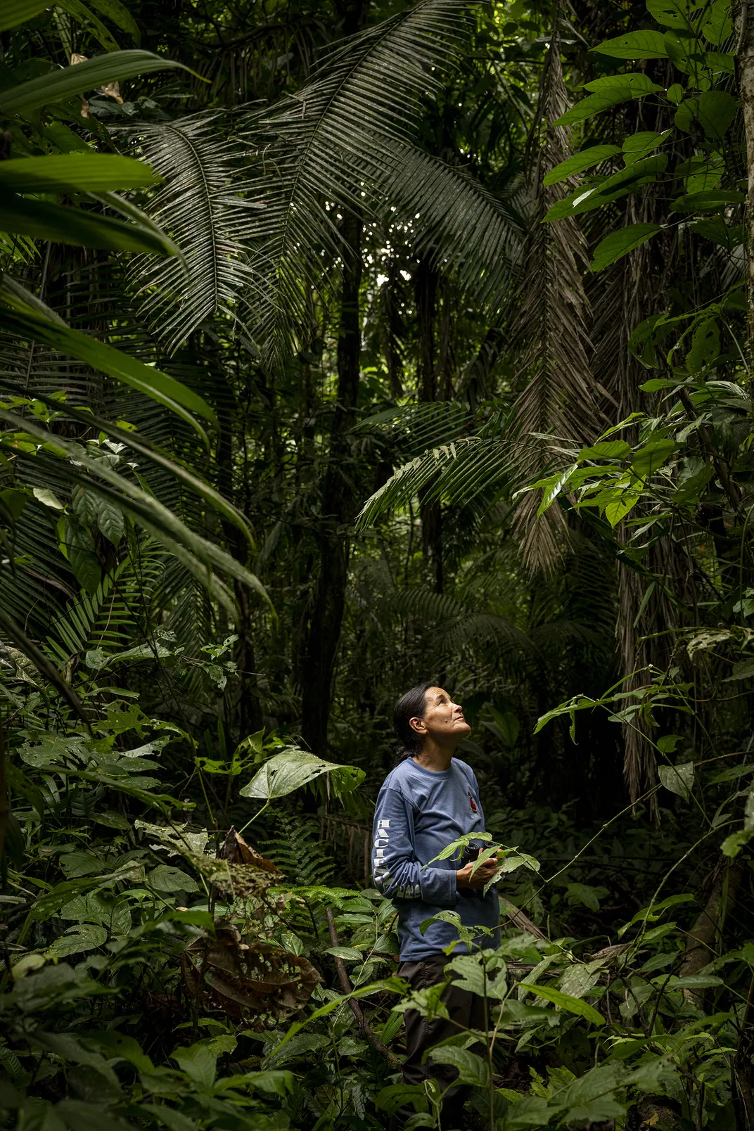 Stella de la Torre, a world-renowned expert on pygmy marmosets, scans the trees at Yasuní National Park, part of a UNESCO Biosphere Reserve in Ecuador.