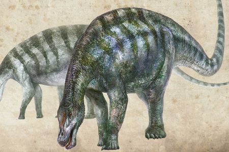 An artist's rendering of the Lingwu Amazing Dragon