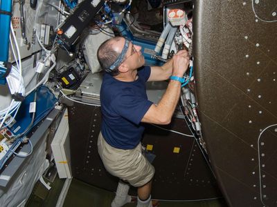 Don Pettit, working on repairs inside the International Space Station in 2008.