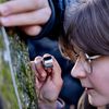 Nine New Tardigrade Species Discovered Thanks to the Efforts of Danish Schoolchildren icon