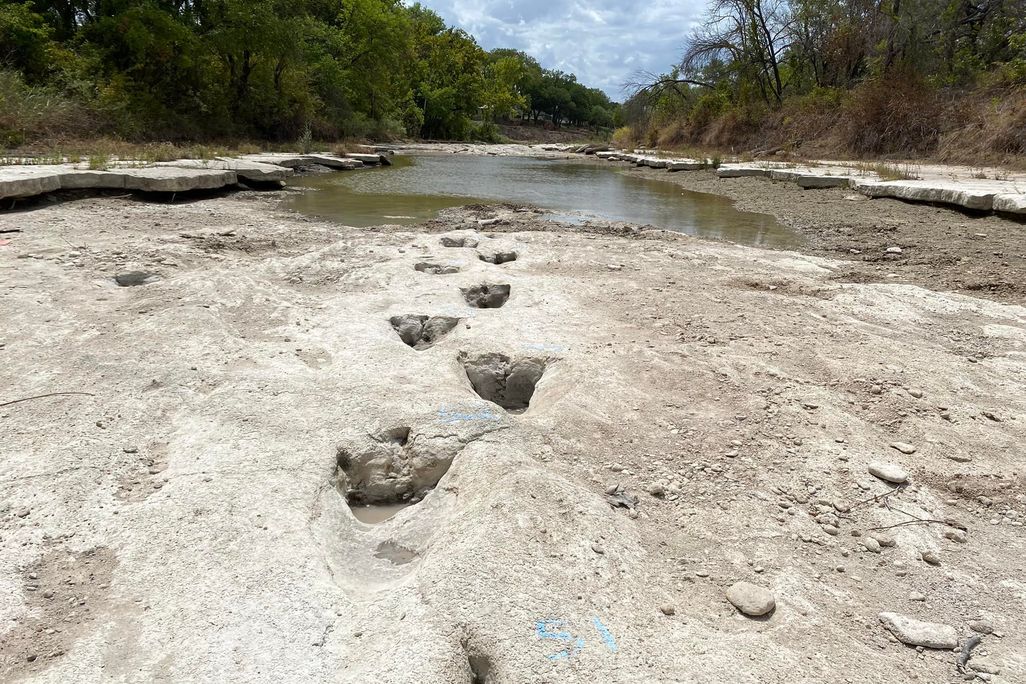 Three-toed dinosaur tracks disappearing into some water