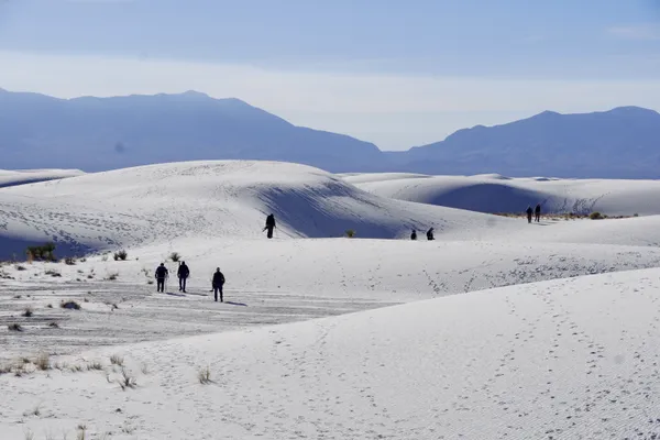 Steps in the Light thumbnail