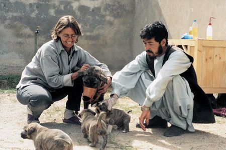 An animal shelter the author started in 2004 cares for Kabul's stray dogs and cats (including this mother and her pups being treated by veterinarian Mohammed Yasin).