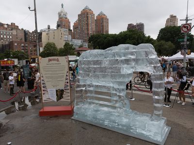 Every 15 minutes another African elephant falls victim to the ivory trade. This melting life-size ice sculpture in NYC helps draw attention to the dire situation. 