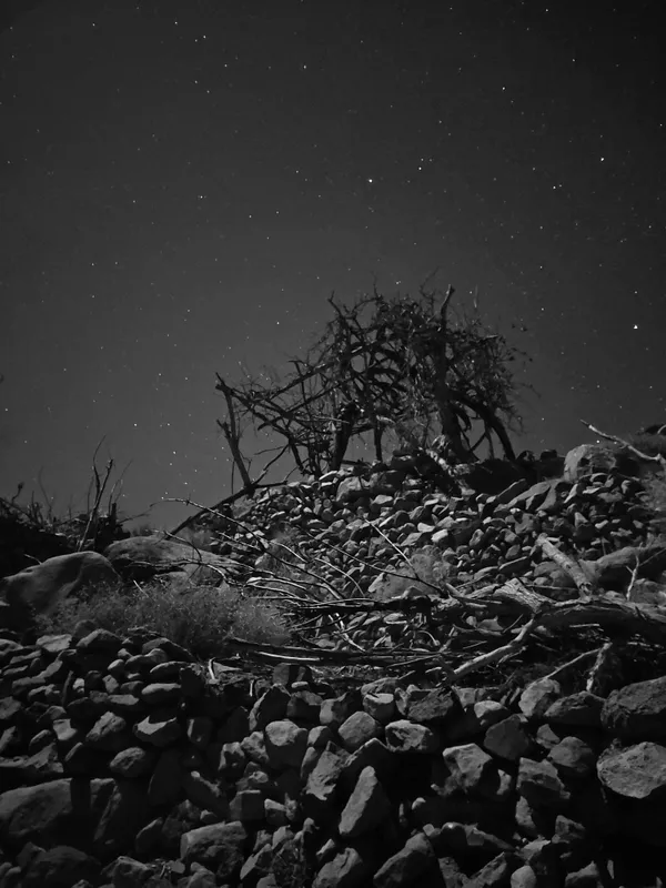 Celestial Vineyard thumbnail